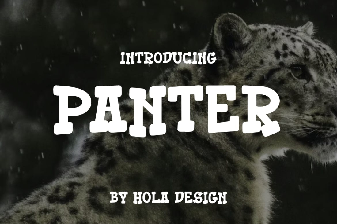 Panter Font